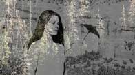 Parasol photography art hub is the link to topgallerylink.com the future link to top art galleries.